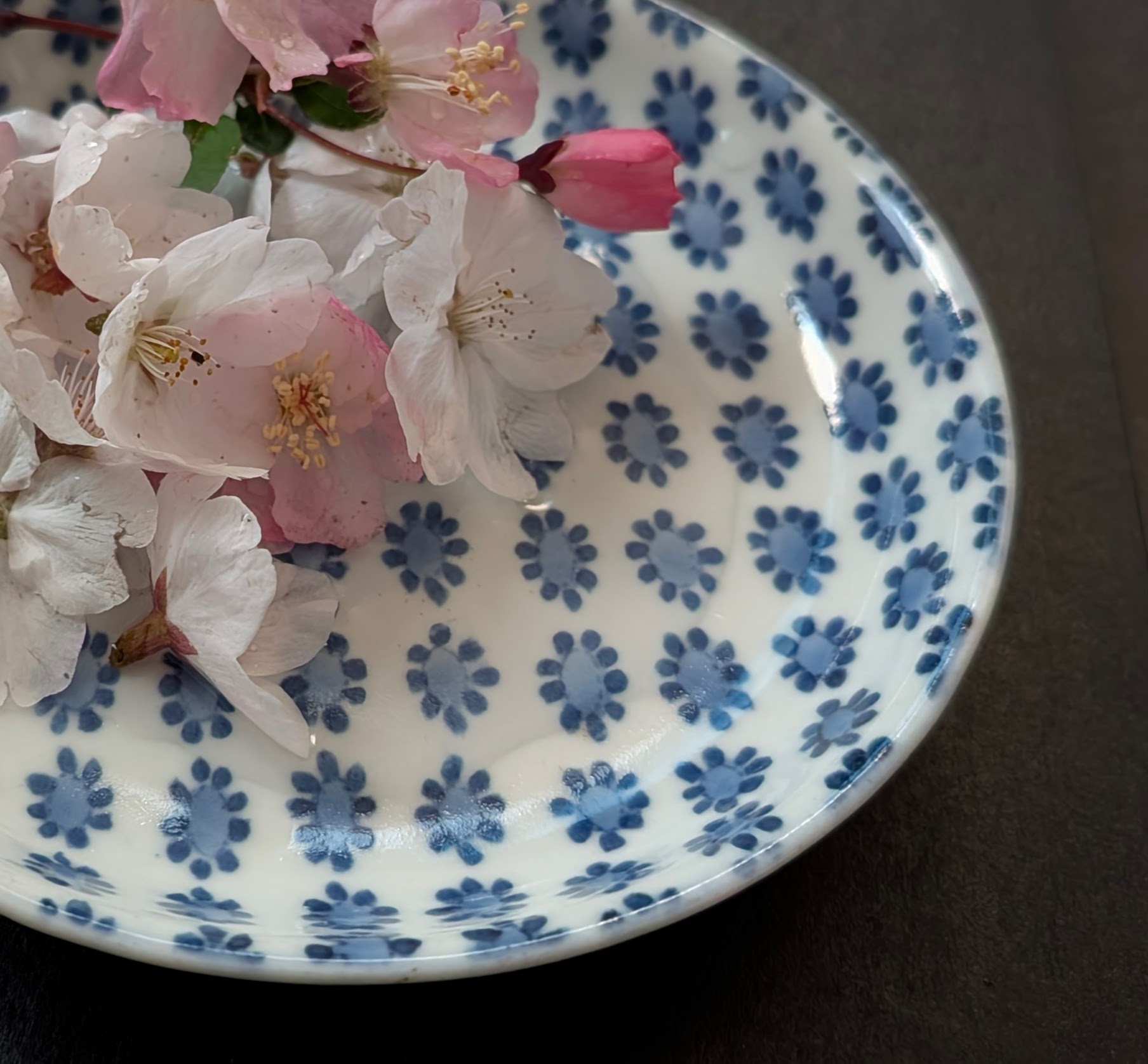 PXL_20250403_215811779